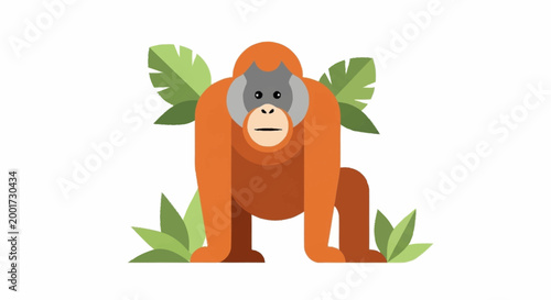 Orangutan in the jungle habitat.