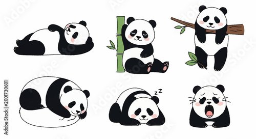 Panda Bears in Various Poses 1.