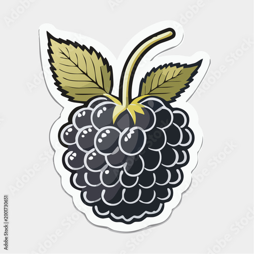 Stylized Blackberry Illustration