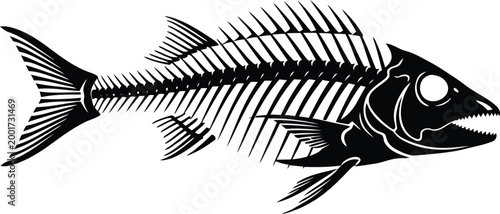 Vintage engraving of a fish skeleton detailed anatomical illustration