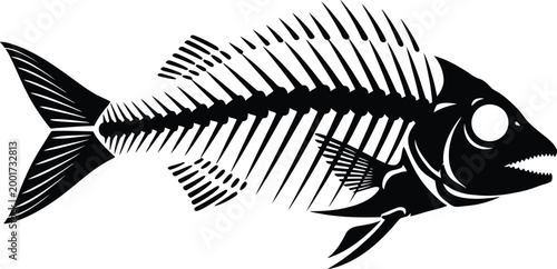 Vintage engraving of a fish skeleton detailed anatomical illustration