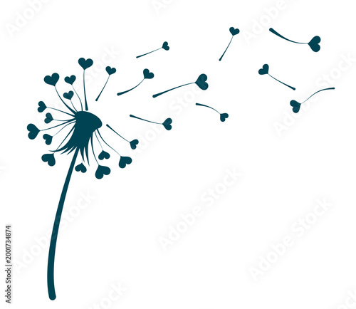 The blossoming field dandelion with hearts.