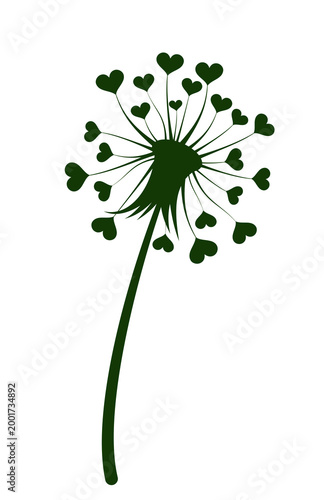 The blossoming field dandelion with hearts.