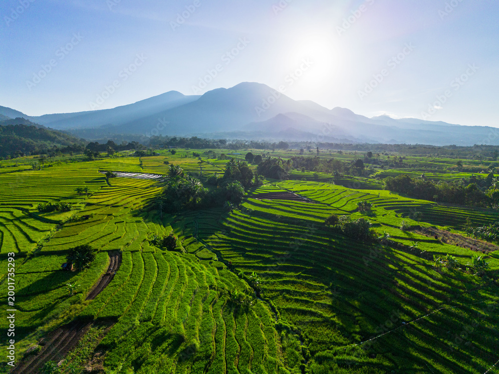 Fototapeta premium Beautiful morning view in Indonesia, panoramic landscape of rice fields with mountain ranges and clear sky