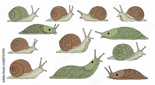 Snails and Slugs Sideways Movement.