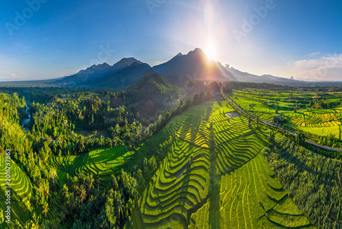 Beautiful morning view in Indonesia, panoramic landscape of rice fields with mountain ranges and clear sky