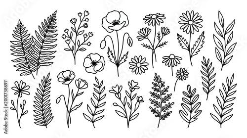 Hand-drawn botanical illustration set: delicate wildflowers, ferns, and poppies in sketch style