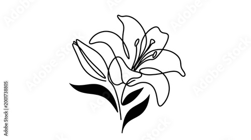 Minimalist Lily Flower Line Art - Continuous Single Line Drawing
