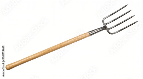 Garden pitchfork with wooden handle