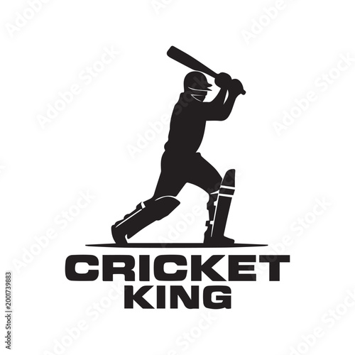 Dynamic Cricket Batsman Silhouette Action Pose. 