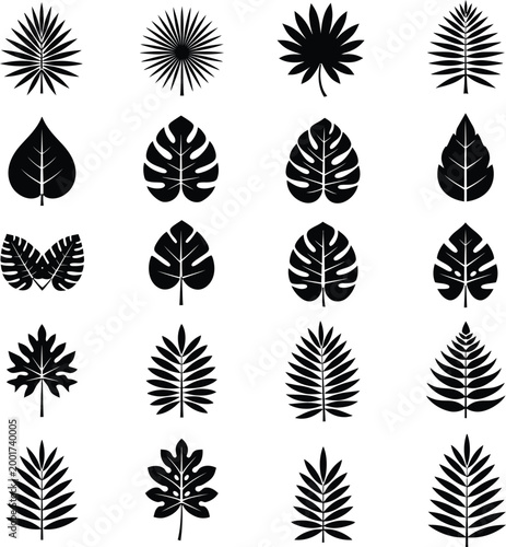 Tropical leaves silhouette collection - plant vector graphics