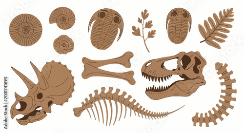 Triceratops dinosaur bone puzzle pieces.