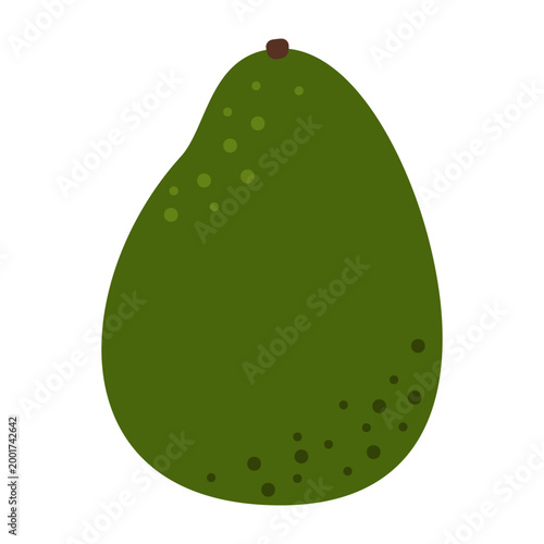 Whole fresh avocado with green skin. Organic vegan food, ingredient for guacamole. Healthy fat and keto diet concept. Tropical ripe avocado icon. Vector fruit illustration isolated on white background