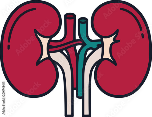 Stylized human kidneys icon with dark outline, medical illustration, organ representation, health care concept