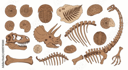 Wooden Dinosaur Bone Puzzle Pieces.