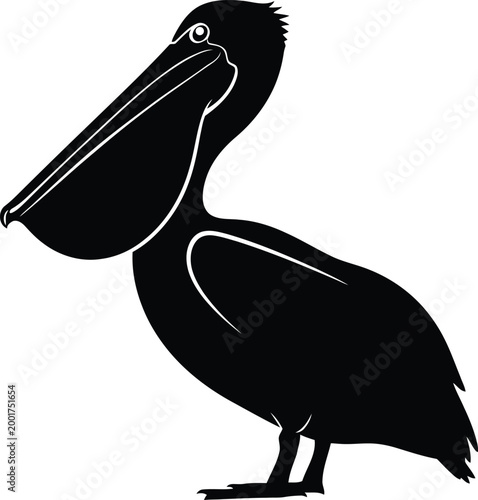 Black and white illustration of a pelican standing with open beak