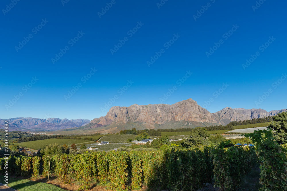Fototapeta premium Amazing early sunset seen from the famous vineyards of the Delaire Graff estate of the Stellenbosch region, a city close to Cape Town. With winelands as far as you can see against a spectacular backdr