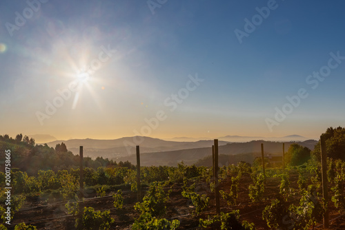 Amazing early sunset seen from the famous vineyards of the Delaire Graff estate of the Stellenbosch region, a city close to Cape Town. With winelands as far as you can see against a spectacular backdr