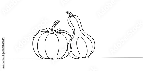 Minimalist continuous line of two gourds and a pumpkin squash autumn fall in white background