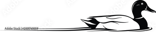 Elegant mallard duck resting on water a black and white illustration
