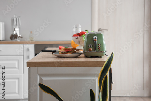 Modern toaster and plate wi...