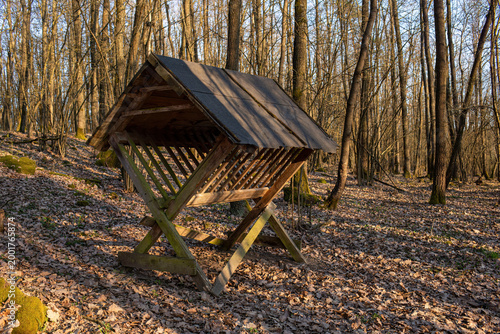 Tableau sur toile Wooden animal feeding rack in forest during sunny spring day