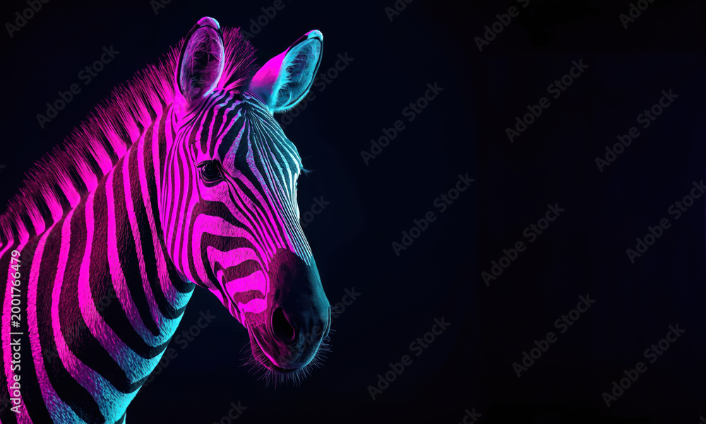Fototapeta premium Neon Zebra Portrait in Vibrant Pink and Blue Luminescent Lighting Representing Futuristic Wild Animal Beauty
