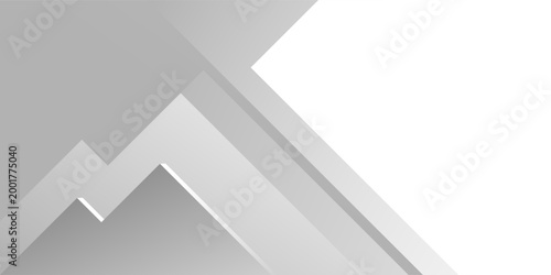 Abstract white and gray shape background. texture white pattern. vector illustration