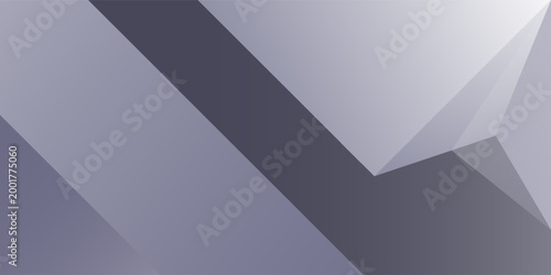 Abstract white and gray perspective triangle shape background. vector illustration
