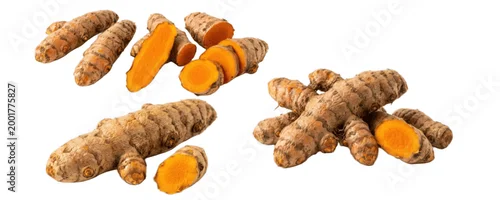 Obraz  z motywem set of fresh turmeric root rhizomes whole and sliced isolated png on white background for spice blends, tea, curry and herbal design  
