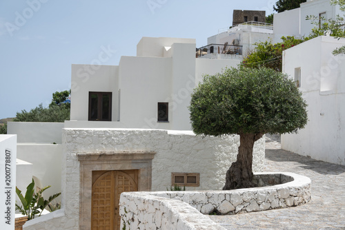 Tableau sur toile Round pruned olive tree in whitewashed Lindos village