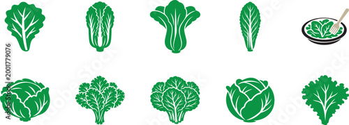 Lettuce icon set with fresh leafy vegetable symbols for food, farm, healthy diet, and design use.