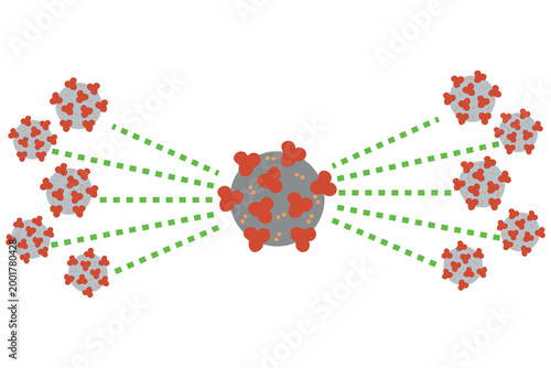 Virus transmission network spreading infection between connected  vector