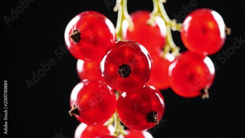 Red currants on a stem.