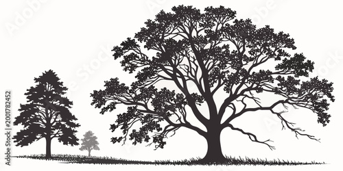Illustration silhouette of a large majestic oak tree in a field with silhouette landscape woodland illustration isolated background minimalist botanical stylized environment countryside