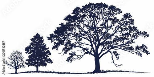 Silhouette illustration of three deciduous trees on a grassy landscape with silhouette landscape woodland illustration vegetation environmental outdoors backdrop isolated botanical greenery