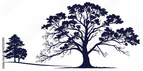 Artistic silhouette of a large spreading tree alongside a smaller one in a grassy field with silhouette landscape woodland illustration isolated background minimalist botanical stylized