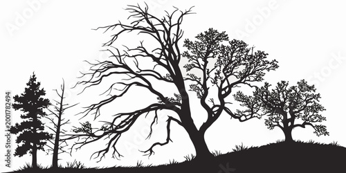 Graphic silhouette of coniferous and deciduous trees on a grassy landscape with silhouette landscape coniferous deciduous wilderness woodland environment background illustration creative