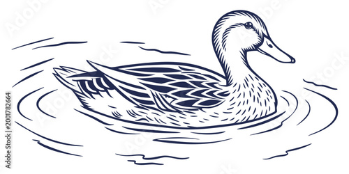 Detailed line art drawing of a mallard duck on water with swimming wildlife illustration monochrome waterfowl creature floating engraving