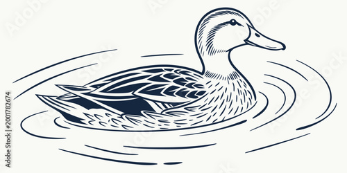 Elegant hand drawn line art duck swimming in water with swimming wildlife illustration minimalist monochrome isolated background floating wilderness creature creative decorative contoured