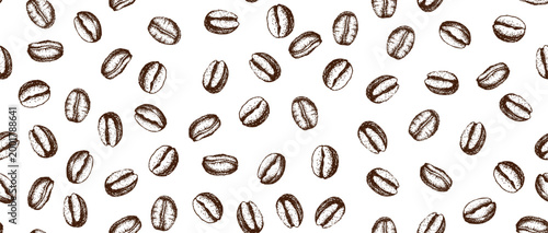 Coffee beans hand drawn on white