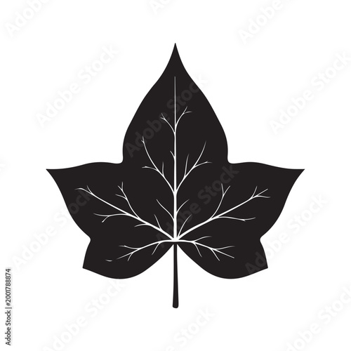 Black ivy leaf silhouette vector illustration with white veins isolated on white background