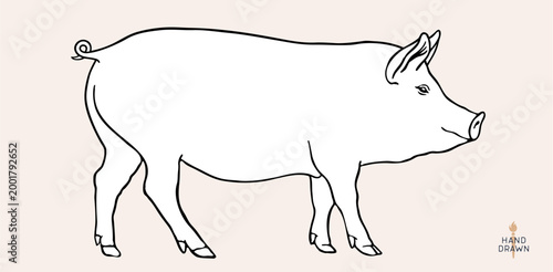 Pork, pig, hog, meat sketch, hand drawn. Vintage print, drawing pig hog silhouette, sketch ink pencil style drawing. Butchery pork pig silhouette, animal, meat shop. Vector Illustration