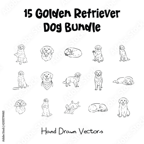 Dog_Golden_Retriever - ORIGINAL