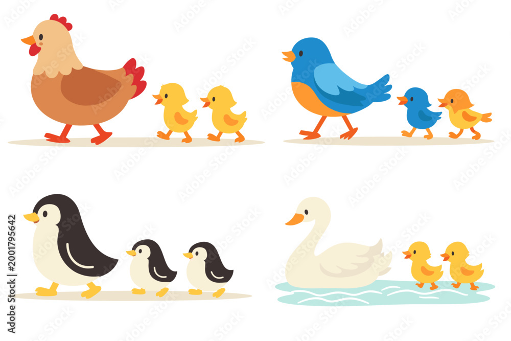 Obraz premium A set of cartoon bird families including quail, robin, hen with chicks walking together on white background. Colorful wildlife parent and baby bird characters for children education.