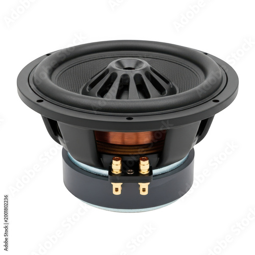 Black woofer speaker driver with red cone and copper spider