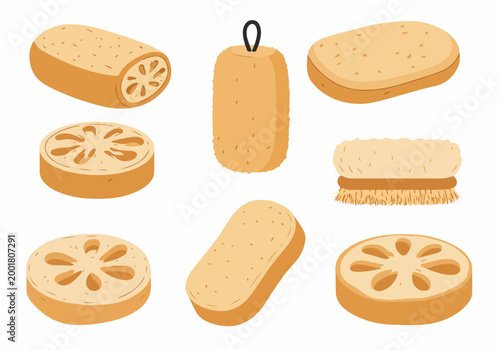 Set of various natural loofah sponges and a body scrub brush for eco-friendly personal care, skin exfoliation, and sustainable spa routines.