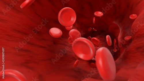 Blood Cells
