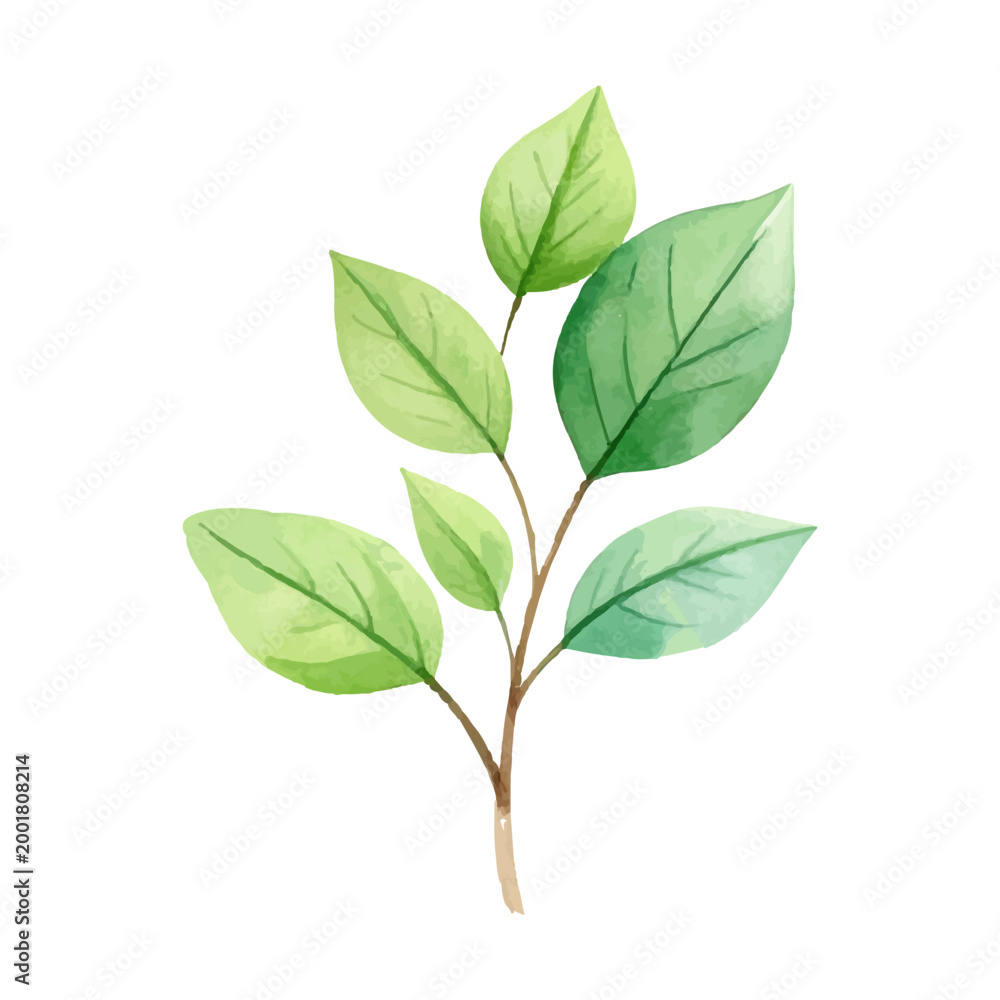 Obraz premium watercolor popular green leaf tropical season. element collection