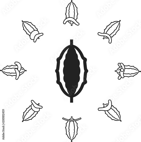 Bitter gourd mandala with vegetable slices arranged in circular composition illustrated in minimal line style for organic food design